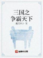 三国之争霸天下txt下载
