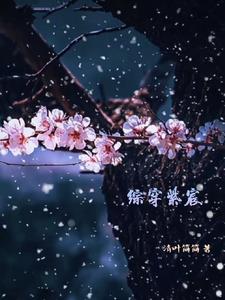 综穿之予汝幸福小说
