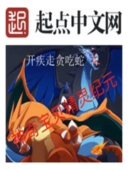 精灵宝可梦之精灵纪元