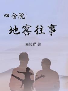 四合院地下室车库