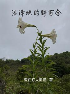 沼泽地的天气状况