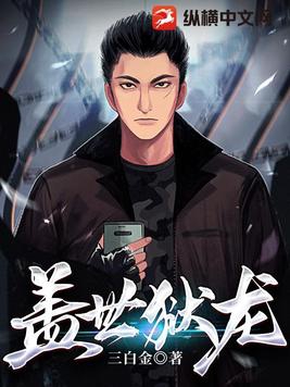 盖世龙战