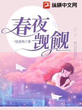 春夜觊觎小说