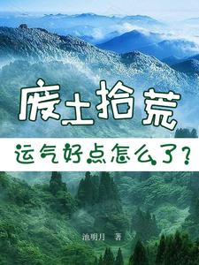 废土拾荒者小说