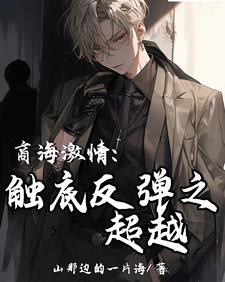 商海情劫 电视剧