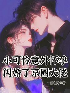 孕吐期小说